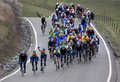 ツアー・オブ・カリフォルニア2009第3ステージに臨む選手。（2009年2月17日撮影）(c)AFP/Getty Images/Christian Petersen