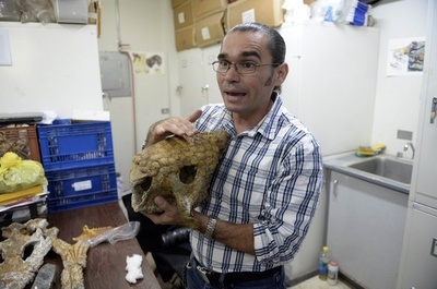 ベネズエラの油田は「ジュラシックパーク」、大量の化石見つかる