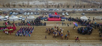 ラクダが走る！ 新疆で初めてレース開催