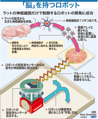 【図解】「脳」を持つロボット