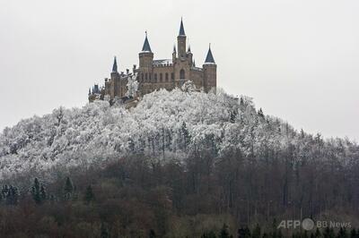 ドイツ最後の皇帝の子孫、美術品の永久展示で政府と合意