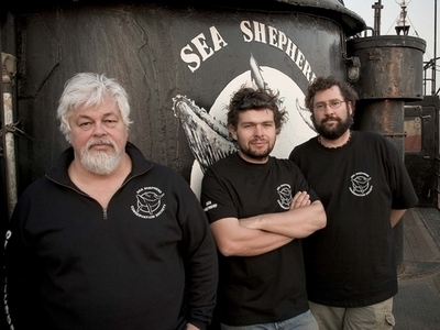 反捕鯨団体シー・シェパード、調査捕鯨船団に発信器