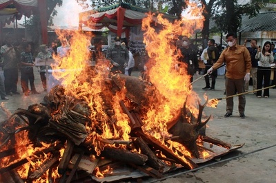 押収した剥製などを焼却処分 インドネシア