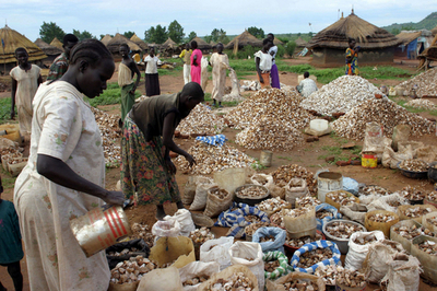 国内難民キャンプでは、建設用の砂利の採集が収入の道 - スーダン