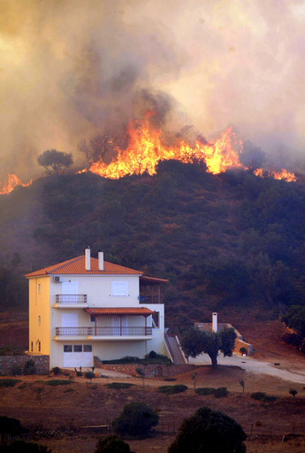 ギリシャの森林火災、15人が死亡