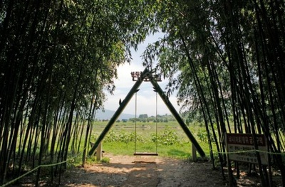 緑で目と心を洗う…森へ旅立つ韓国の避暑 (5)