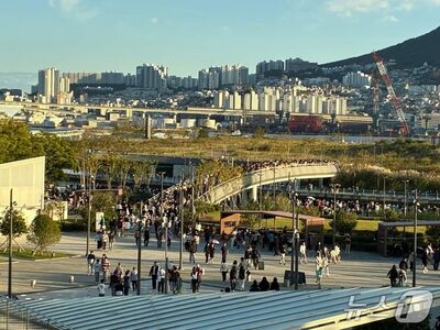 韓国・釜山のサメ人気、来園者120万人超…周辺飲食店にも活気