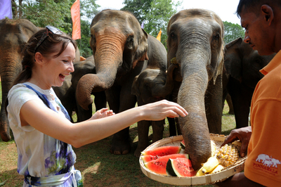 子ゾウ15頭の命名式、スリランカ保護施設