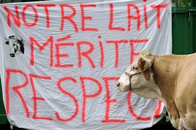 EU、価格下落の酪農業界に380億円援助へ