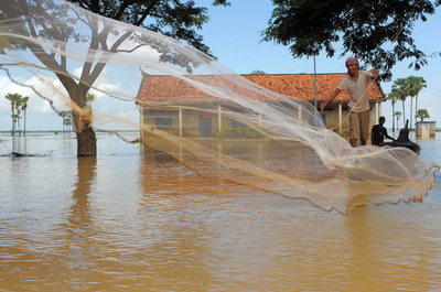 東南アジアの洪水、カンボジアの田畑にも被害