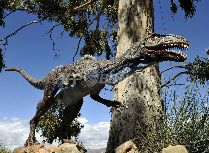 恐竜300種の足跡が約5000個、ボリビアの白亜紀公園