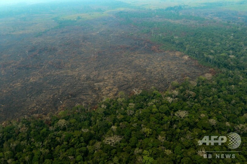 地球の気候安定化を左右するアマゾンの熱帯雨林 写真10枚 国際ニュース Afpbb News
