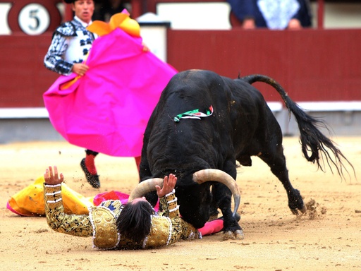 マドリードで闘牛士3人負傷、35年ぶり興行中断 写真6枚 国際ニュース：AFPBB News