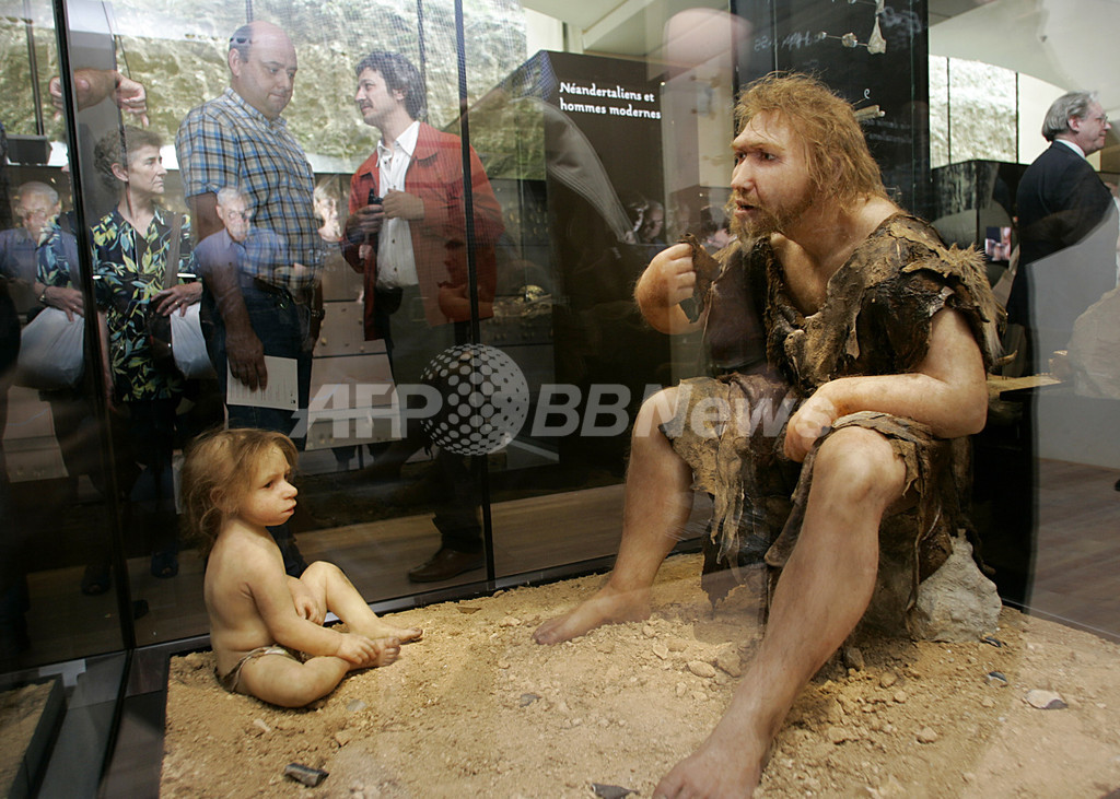 ネアンデルタール人も高齢者介護、墓地跡の調査で発見 ネアンデルタール人も高齢者介護、墓地跡の調査で発見
