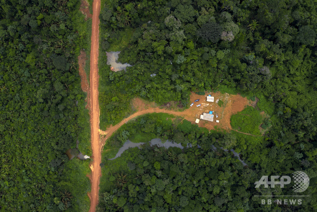 原生林の保護、カギは先住民に 研究 原生林の保護、カギは先住民に 研究
