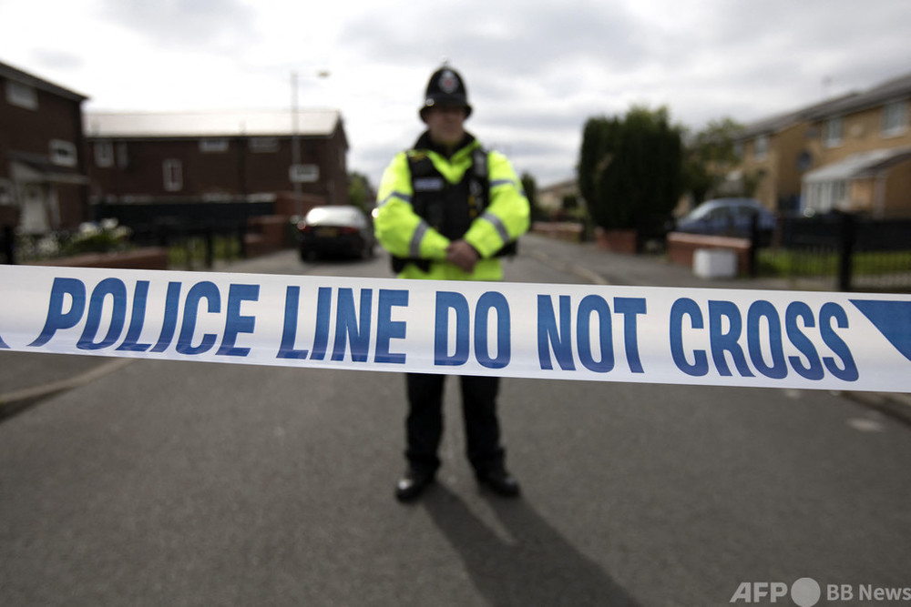 世界最大のウサギ盗難 体長129センチ 英警察が行方追う 写真1枚 国際ニュース Afpbb News