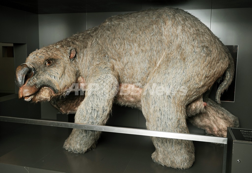 【特集】古代生物図鑑～太古に生きた奇妙な動物たち