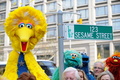 米ニューヨーク（New York）にイベントで設けられた『セサミストリート（Sesame Street）』の標識の横でポーズをとるビックバード（Big Bird）などおなじみのキャラクター（2009年11月9日撮影）。(c)AFP/Stan Honda