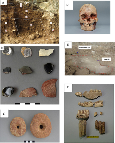 中国の研究者、古代野生植物の栽培化示す新証拠発見 写真12枚 中国の研究者、古代野生植物の栽培化示す新証拠発見 写真12枚