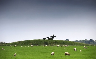 彫刻とたたずむヒツジたち、英H・ムーア財団で特別展
