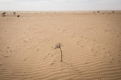 砂漠で20人の遺体発見、車が故障し脱水か リビア南部
