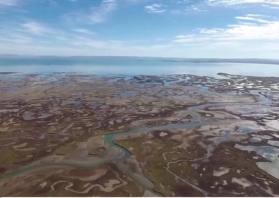中国 6月1日から「湿地保護法」実施