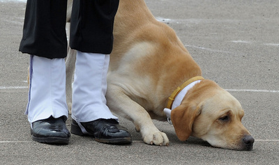 陸軍の精鋭たちが美技を披露、インド