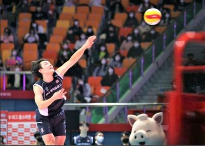 韓国バレーボール選手「偽のてんかん」で兵役逃れ…プロサッカー選手も捜査対象