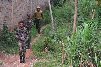 ケニア首都がパニック、ライオン2頭が迷い込む