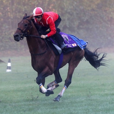 マカヒキが凱旋門前哨戦で優勝、ニエル賞