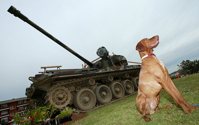 豪男性、戦車で携帯用の鉄塔をなぎ倒す