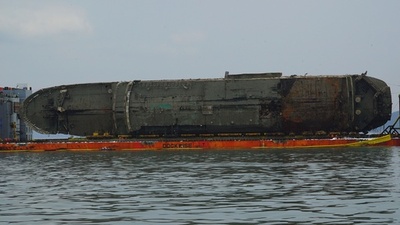 セウォル号で発見の骨片は動物のもの、政府発表