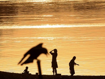 野鳥と人との「親密な関係」 科学的に分析