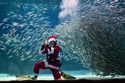 サンタ、水槽の中を泳ぐ ソウルの水族館