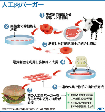 【図解】人工肉バーガー
