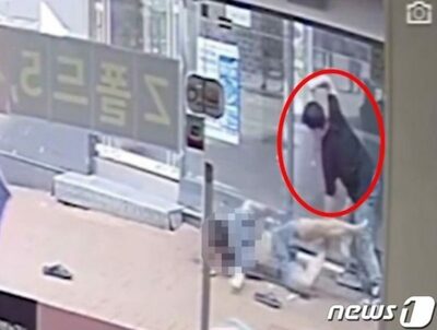 韓国・刃物の殺傷事件の現場映像が出回る…ネットユーザーに衝撃広がる
