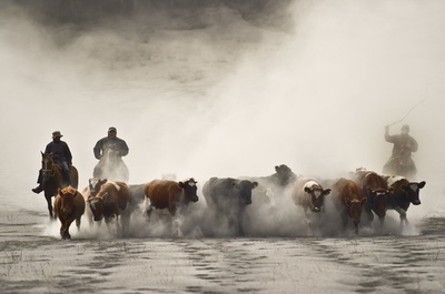 チリ火山噴火、避難者数が約6500人に増加