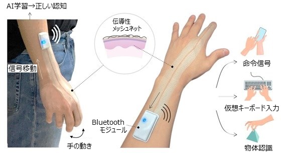 伝導性メッシュネットを使用者の皮膚に直接プリンティングした後、Bluetoothモジュールを付着する。無線で手の動きによる信号を読む。数回のAI反復学習だけで物体認識とキーボードタイピングなど実生活のさまざまな場面で活用できるようになる（韓国科学技術院チョ・ソンホ教授提供）(c)news1
