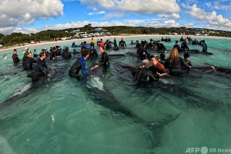 【今日の1枚】ボランティア結集、懸命の救助 豪