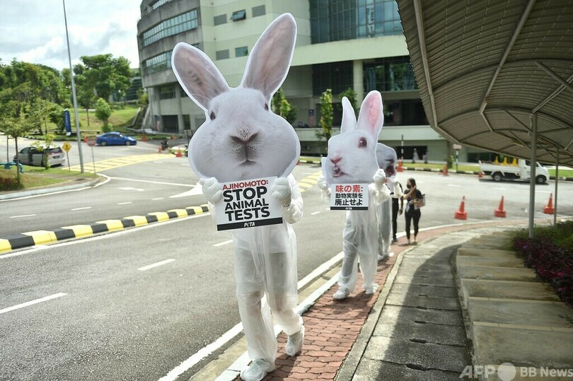 「味の素、動物実験廃止せよ」 愛護団体、マレーシアで抗議