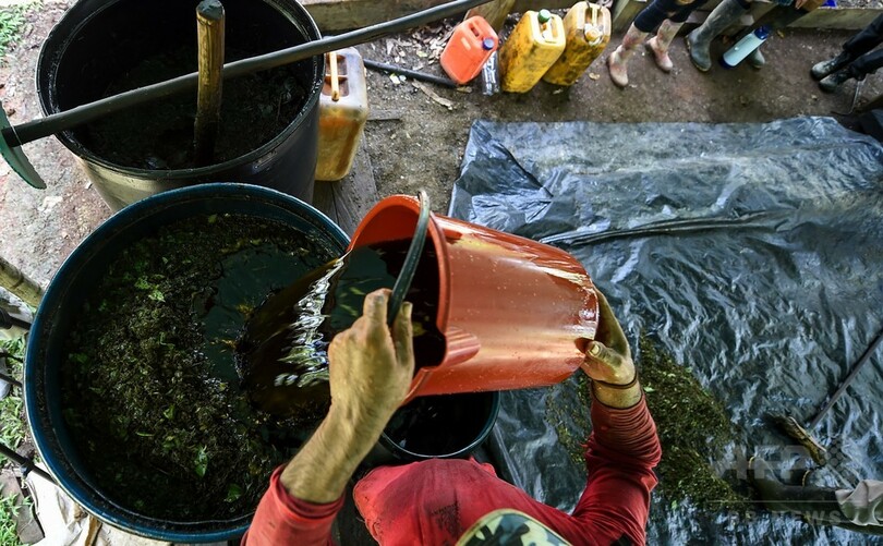 「コカインペースト」が現金代わりに、コロンビアの小さな村