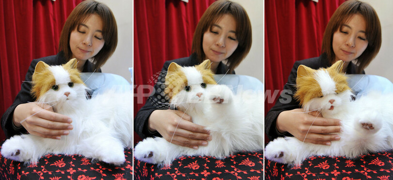 生きているみたいに動く玩具「夢ねこビーナス」、セガトイズ7月発売へ