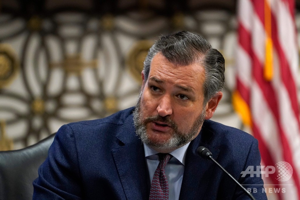 米共和党、来月の選挙は「大惨事」の恐れ クルーズ上院議員 写真1枚 国際ニュース:AFPBB News