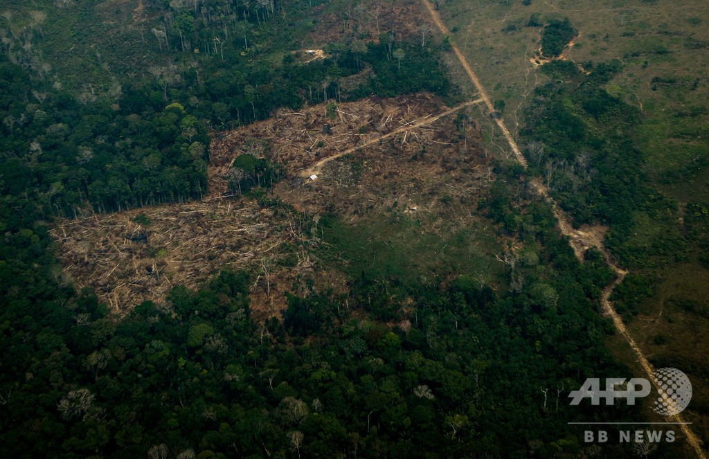 アマゾン熱帯雨林、2035年までにCO2吸収能力失う恐れ 研究 アマゾン熱帯雨林、2035年までにCO2吸収能力失う恐れ 研究
