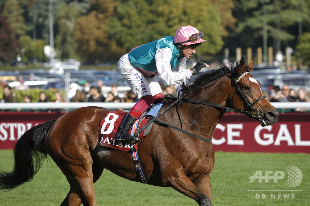 エネイブルが圧勝、最多3度目のキングジョージ制覇 エネイブルが圧勝、最多3度目のキングジョージ制覇