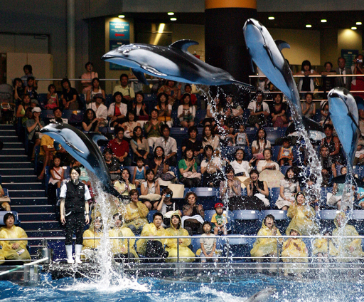 判官びいき」？ イルカのラッキーくん、大人気 - 東京 写真4枚 国際