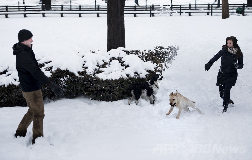 米東部に「スノーマゲドン」襲来、大雪で事故など相次ぐ