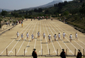 首都アテネ（Athens）から南西120キロの古代都市遺跡ネメア（Nemea）の競技場跡で、100メートル走を裸足で走る選手たち（2008年6月21日撮影）。(c)AFP/Louisa Gouliamaki