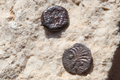 イスラエル・エルサレム（Jerusalem）旧市街の西の壁付近で発掘された銅貨（2011年11月23日公開）。(c)AFP/GALI TIBBON