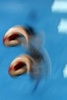 (c)AFP/Odd Andersen